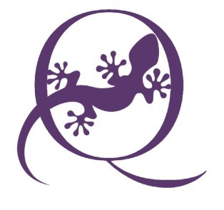 Qansen – Coaching | Training | Ontwikkeling